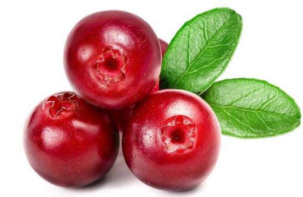 蔓越莓是什么水果？蔓越莓干有什么功效？