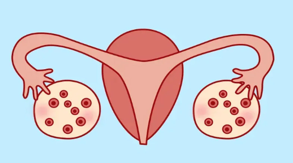 促進(jìn)卵泡發(fā)育的激素有哪些 促卵泡黃體生成素雌激素